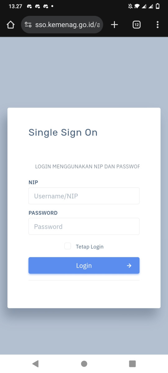Login SSO