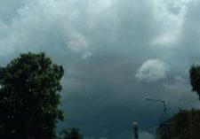 IMG-20241224-WA0005